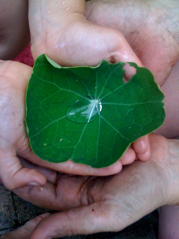 photo-2
